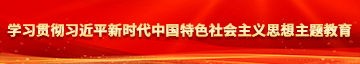 操逼美女www视频学习贯彻习近平新时代中国特色社会主义思想主题教育